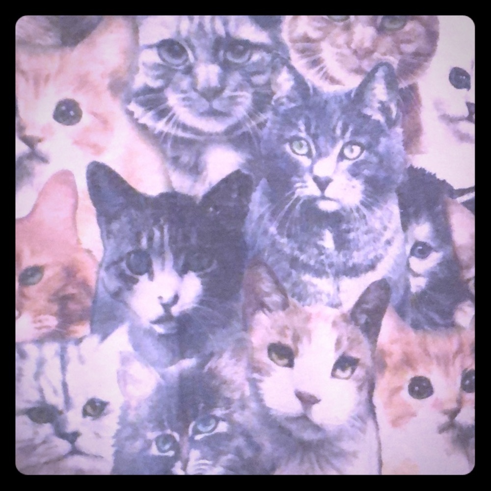 Men’s Cat T-shirt